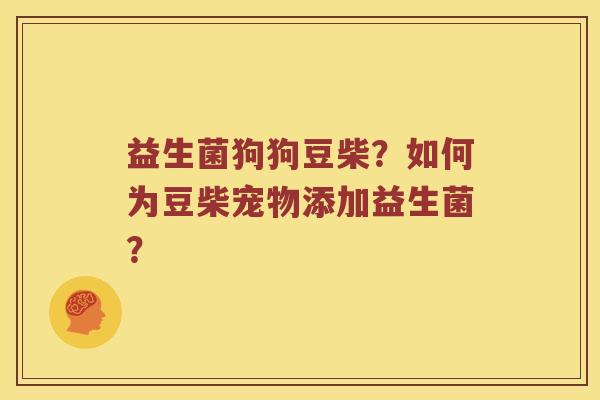 益生菌狗狗豆柴？如何为豆柴宠物添加益生菌？
