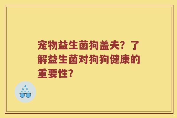 宠物益生菌狗盖夫？了解益生菌对狗狗健康的重要性？