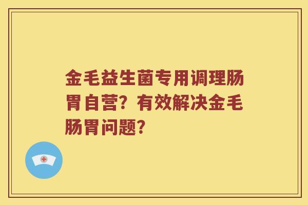 金毛益生菌专用调理肠胃自营？有效解决金毛肠胃问题？