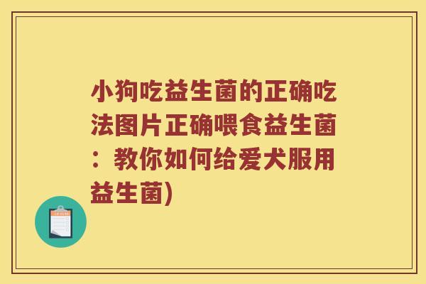 小狗吃益生菌的正确吃法图片正确喂食益生菌:教你如何给爱犬服用益生菌) 小狗吃益生菌的正确吃法图片正确喂食益生菌:教你如何给爱犬服用益生菌)
