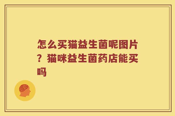 怎么买猫益生菌呢图片？猫咪益生菌药店能买吗