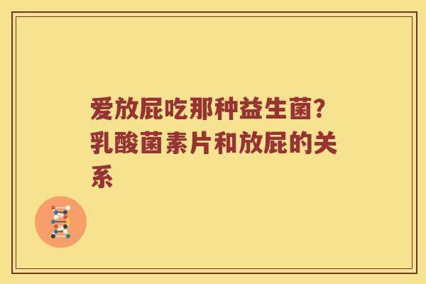 爱放屁吃那种益生菌？乳酸菌素片和放屁的关系