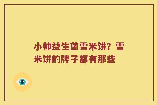 小帅益生菌雪米饼?雪米饼的牌子都有那些 小帅益生菌雪米饼?雪米饼的牌子都有那些