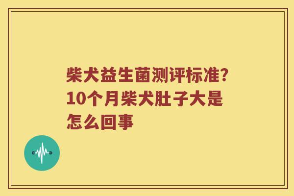 柴犬益生菌测评标准？10个月柴犬肚子大是怎么回事