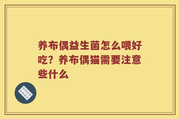 养布偶益生菌怎么喂好吃?养布偶猫需要注意些什么 养布偶益生菌怎么喂好吃?养布偶猫需要注意些什么