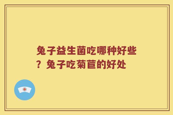兔子益生菌吃哪种好些？兔子吃菊苣的好处