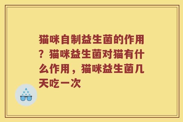猫咪自制益生菌的作用？猫咪益生菌对猫有什么作用，猫咪益生菌几天吃一次