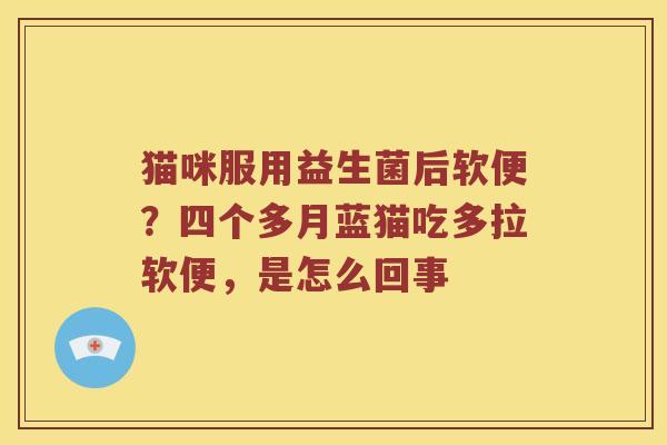 猫咪服用益生菌后软便？四个多月蓝猫吃多拉软便，是怎么回事