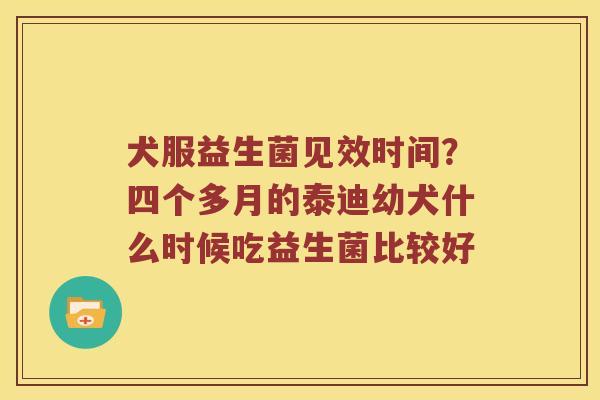 犬服益生菌见效时间？四个多月的泰迪幼犬什么时候吃益生菌比较好