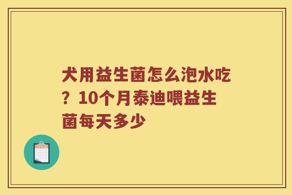 犬用益生菌怎么泡水吃？10个月泰迪喂益生菌每天多少