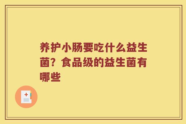 养护小肠要吃什么益生菌？食品级的益生菌有哪些