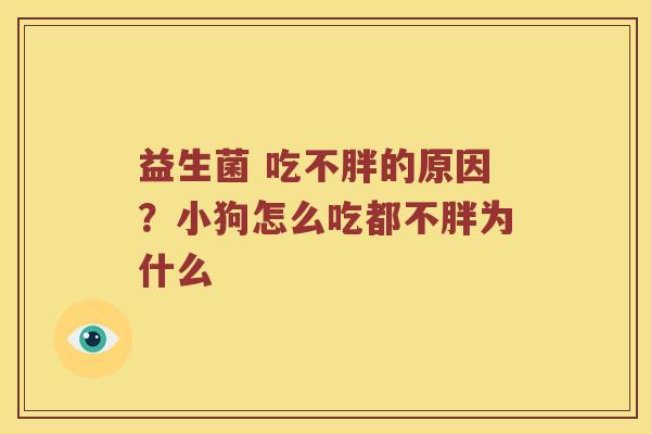 益生菌 吃不胖的原因？小狗怎么吃都不胖为什么