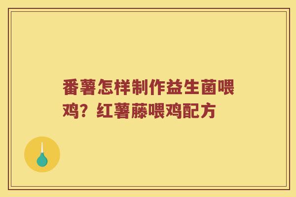 番薯怎样制作益生菌喂鸡？红薯藤喂鸡配方