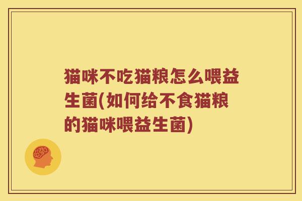 猫咪不吃猫粮怎么喂益生菌(如何给不食猫粮的猫咪喂益生菌) 猫咪不吃猫粮怎么喂益生菌(如何给不食猫粮的猫咪喂益生菌)