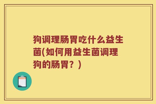 狗调理肠胃吃什么益生菌(如何用益生菌调理狗的肠胃？)