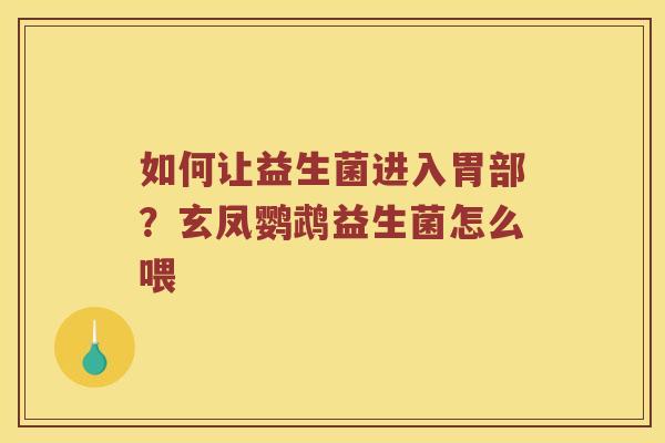 如何让益生菌进入胃部？玄凤鹦鹉益生菌怎么喂