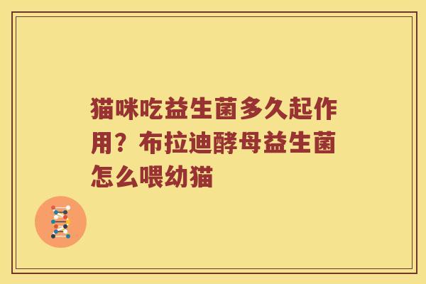 猫咪吃益生菌多久起作用？布拉迪酵母益生菌怎么喂幼猫