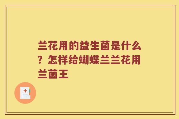 兰花用的益生菌是什么？怎样给蝴蝶兰兰花用兰菌王