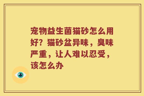 宠物益生菌猫砂怎么用好？猫砂盆异味，臭味严重，让人难以忍受，该怎么办