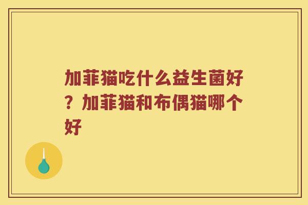 加菲猫吃什么益生菌好？加菲猫和布偶猫哪个好