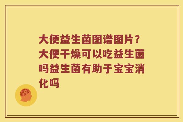 大便益生菌图谱图片？大便干燥可以吃益生菌吗益生菌有助于宝宝消化吗