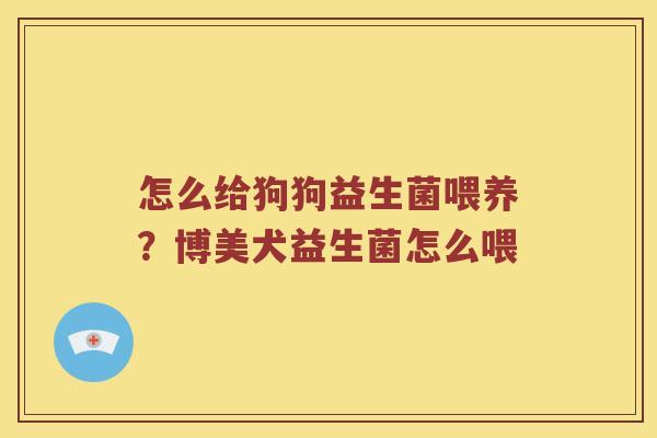 怎么给狗狗益生菌喂养？博美犬益生菌怎么喂