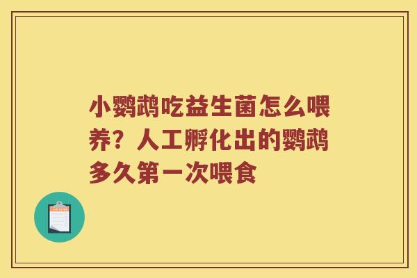 小鹦鹉吃益生菌怎么喂养？人工孵化出的鹦鹉多久第一次喂食