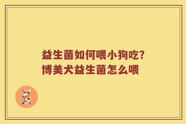 益生菌如何喂小狗吃？博美犬益生菌怎么喂