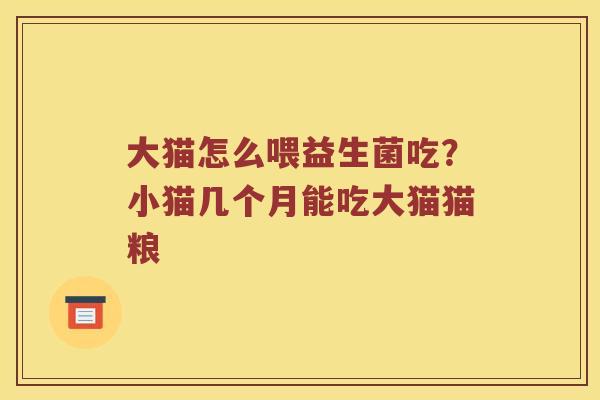 大猫怎么喂益生菌吃？小猫几个月能吃大猫猫粮