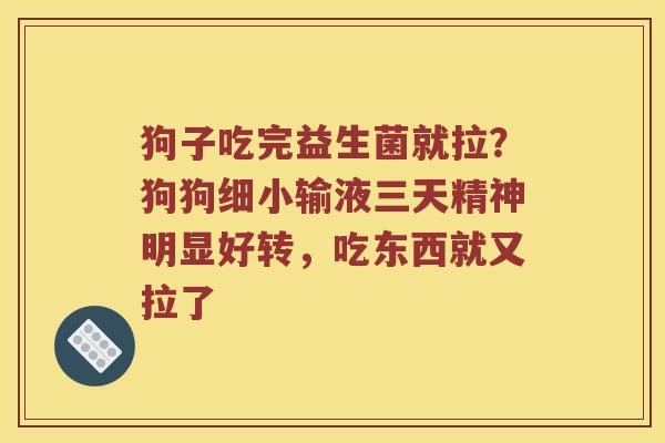 狗子吃完益生菌就拉?狗狗细小输液三天精神明显好转,吃东西就又拉了 狗子吃完益生菌就拉?狗狗细小输液三天精神明显好转,吃东西就又拉了