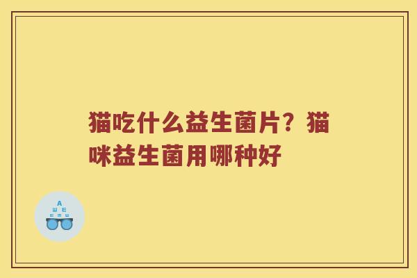 猫吃什么益生菌片?猫咪益生菌用哪种好 猫吃什么益生菌片?猫咪益生菌用哪种好