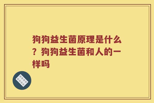 狗狗益生菌原理是什么？狗狗益生菌和人的一样吗