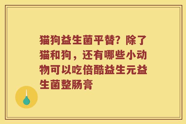 猫狗益生菌平替？除了猫和狗，还有哪些小动物可以吃倍酷益生元益生菌整肠膏