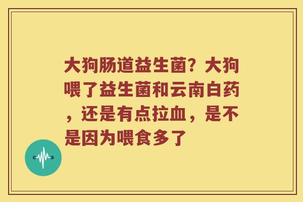 大狗肠道益生菌？大狗喂了益生菌和云南白药，还是有点拉血，是不是因为喂食多了