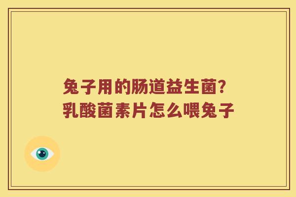 兔子用的肠道益生菌？乳酸菌素片怎么喂兔子