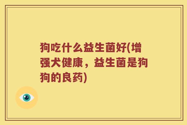 狗吃什么益生菌好(增强犬健康，益生菌是狗狗的良药)