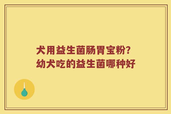 犬用益生菌肠胃宝粉?幼犬吃的益生菌哪种好 犬用益生菌肠胃宝粉?幼犬吃的益生菌哪种好