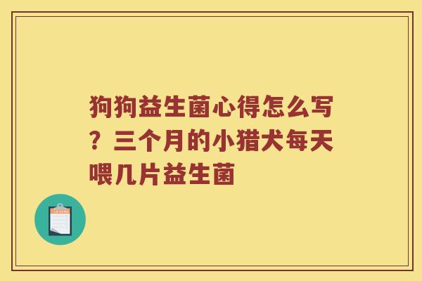狗狗益生菌心得怎么写？三个月的小猎犬每天喂几片益生菌