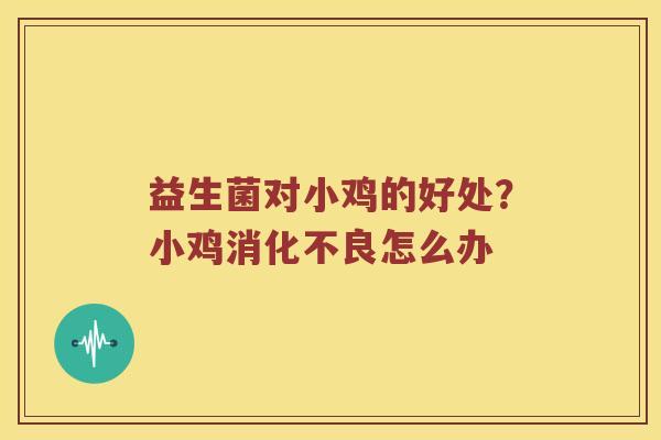 益生菌对小鸡的好处？小鸡消化不良怎么办