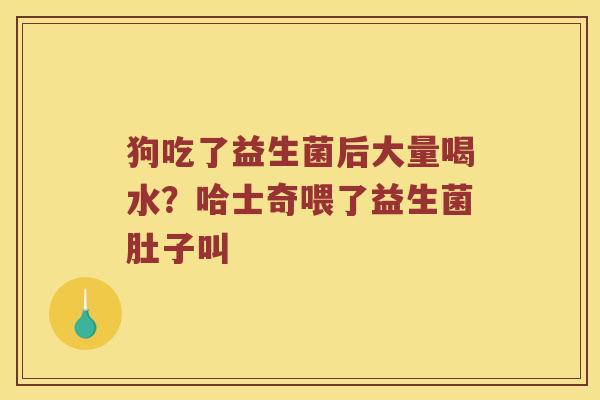 狗吃了益生菌后大量喝水?哈士奇喂了益生菌肚子叫 狗吃了益生菌后大量喝水?哈士奇喂了益生菌肚子叫