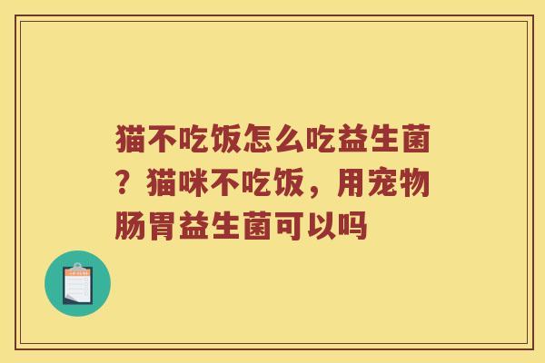 猫不吃饭怎么吃益生菌？猫咪不吃饭，用宠物肠胃益生菌可以吗