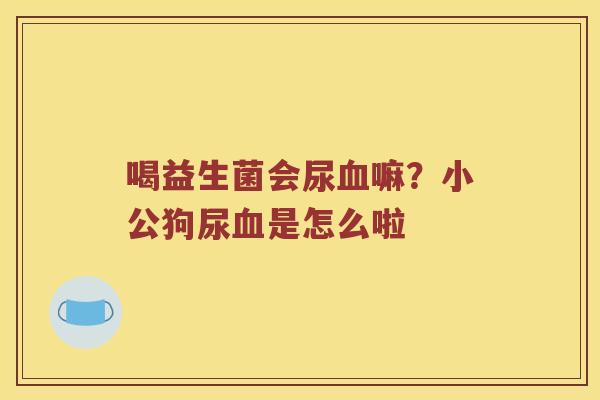 喝益生菌会尿嘛?小公狗尿是怎么啦 喝益生菌会尿嘛?小公狗尿是怎么啦