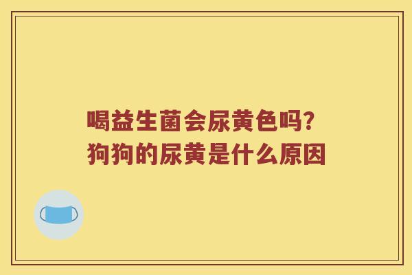 喝益生菌会尿黄色吗？狗狗的尿黄是什么原因