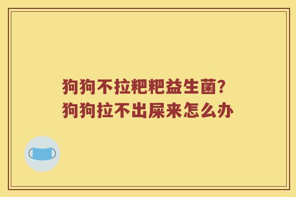 狗狗不拉粑粑益生菌？狗狗拉不出屎来怎么办