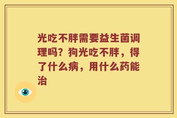 光吃不胖需要益生菌调理吗？狗光吃不胖，得了什么，用什么药能