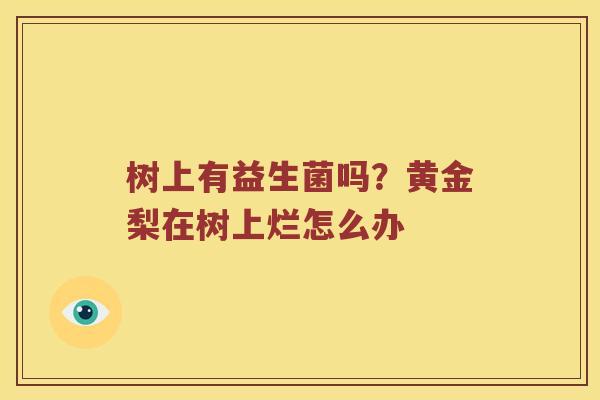 树上有益生菌吗？黄金梨在树上烂怎么办