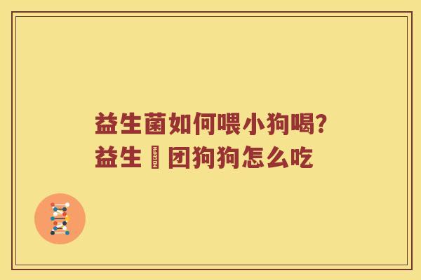 益生菌如何喂小狗喝？益生軍团狗狗怎么吃