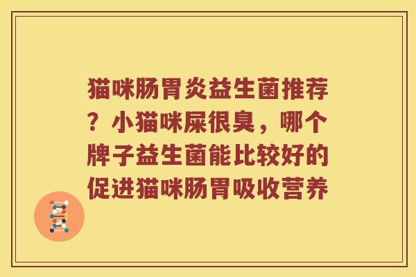 猫咪肠胃炎益生菌推荐？小猫咪屎很臭，哪个牌子益生菌能比较好的促进猫咪肠胃吸收营养