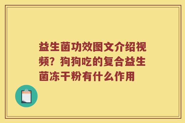 益生菌功效图文介绍视频？狗狗吃的复合益生菌冻干粉有什么作用