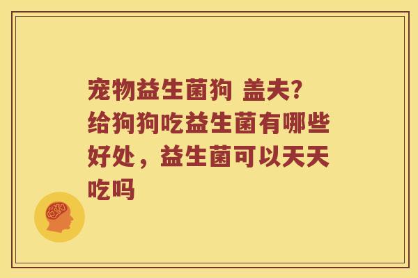 宠物益生菌狗 盖夫？给狗狗吃益生菌有哪些好处，益生菌可以天天吃吗